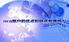 nra賬戶的優(yōu)點和缺點有哪些？