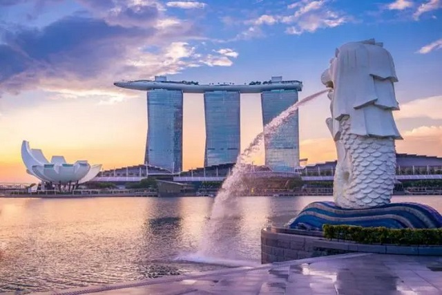 新加坡公司維護全解析：確保合規(guī)與穩(wěn)健運營