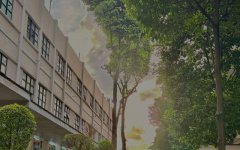 柬埔寨開工廠，難度究竟藏在哪?